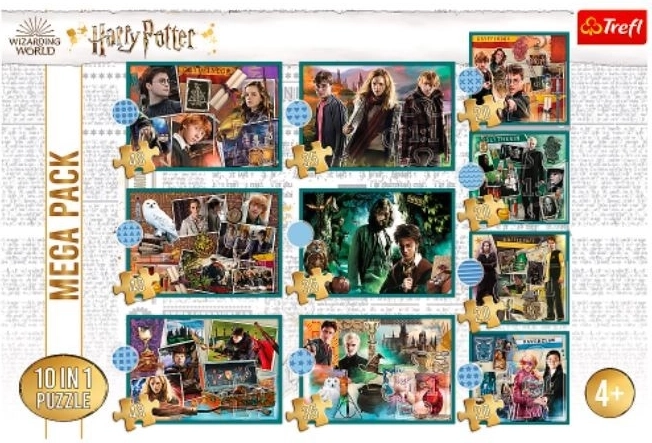 Den magiske verden HARRY POTTER