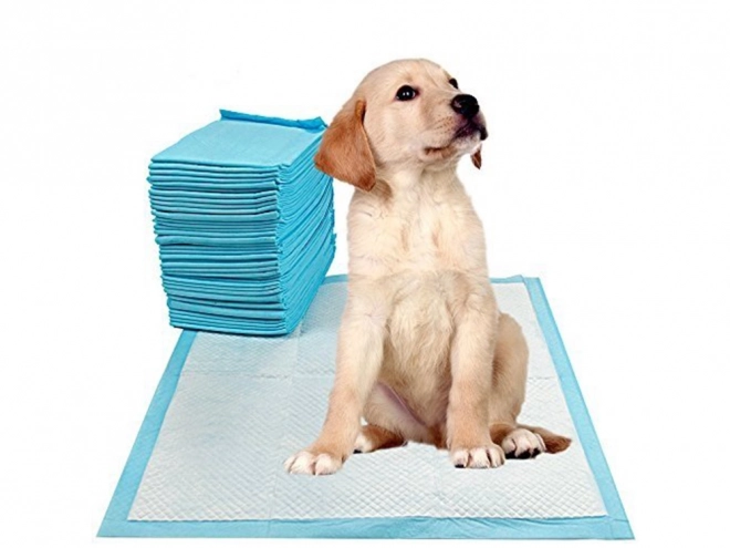 Træningsunderlag til hunde 60x90 cm