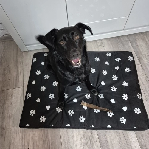 Vandtæt hundeseng XXL