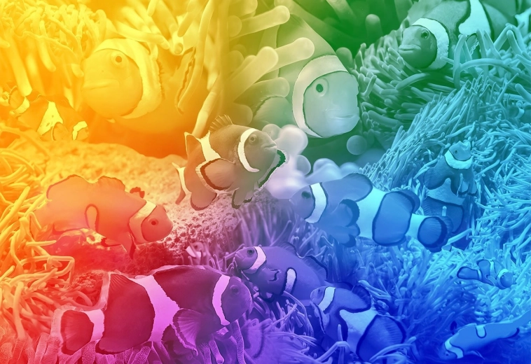 Livligt motiv af tropiske fisk