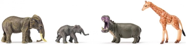 Udvideligt safari med små og store arter