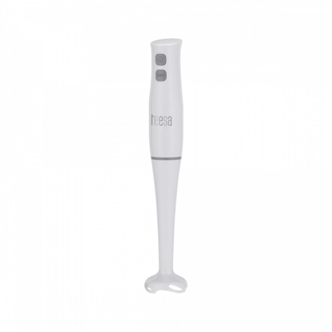 Teesa 400W stavblender