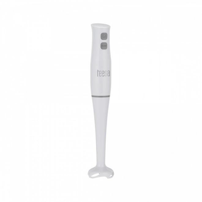 Teesa 400W stavblender