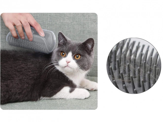 Hjørnebørste til katte med katteurt