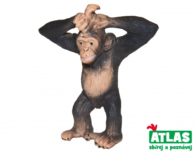 A - Chimpanse 6 cm