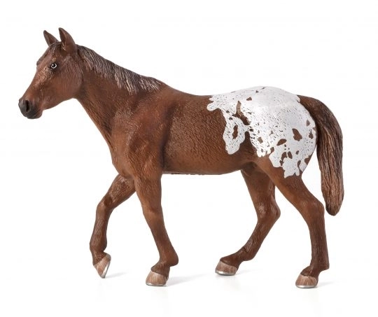 Mojo Dyr Planet Appaloosa hingst brun