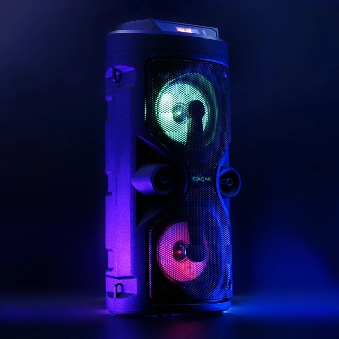 Bluetooth højttaler Harmony med karaoke-funktion