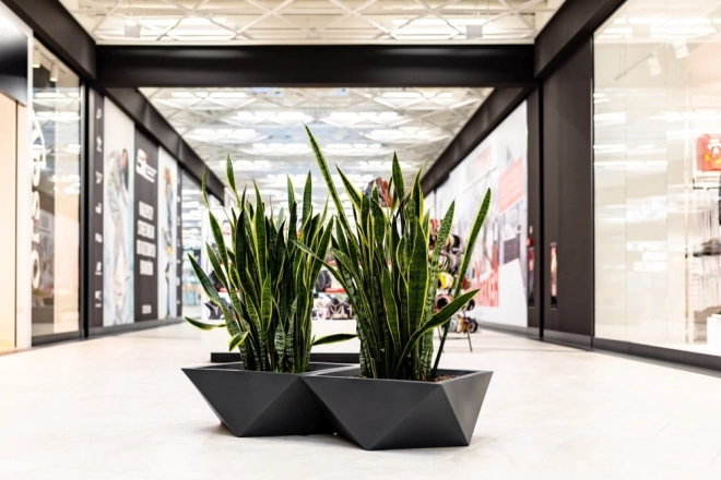 Design blomsterkrukke MONUMO VENDETTA højde 30 cm antracit