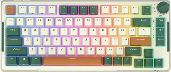 Trådløst mekanisk tastatur Royal Kludge RKH81 RGB med Sky Cyan-kontakter
