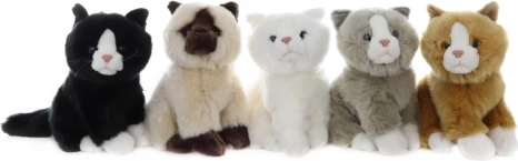 Plysset kat 21 cm