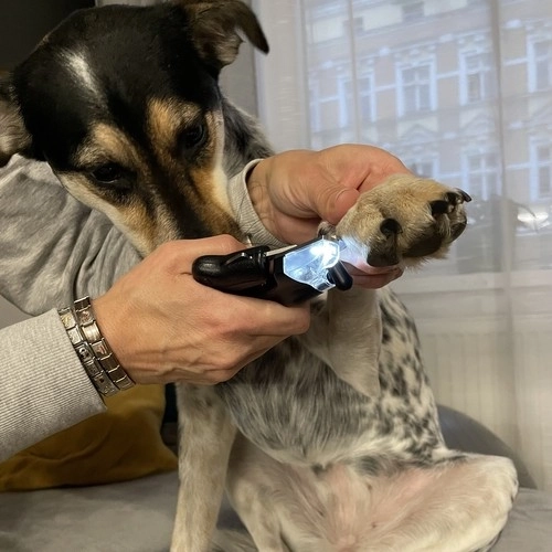 Sikre negleklippere til hunde og katte med LED