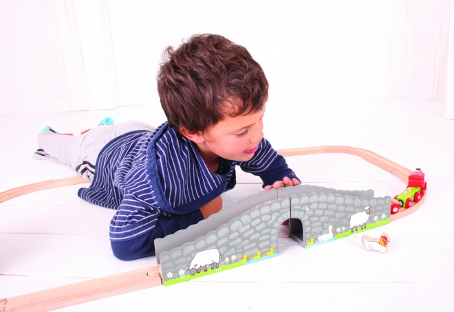 Bigjigs Rail Farm bro med tunnel