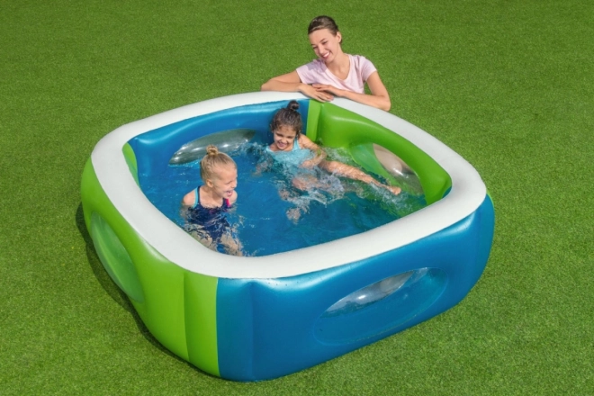 Transparent Paneler