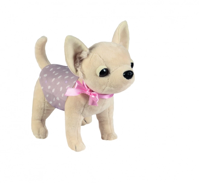 Hundehvalp Chihuahua DIDI