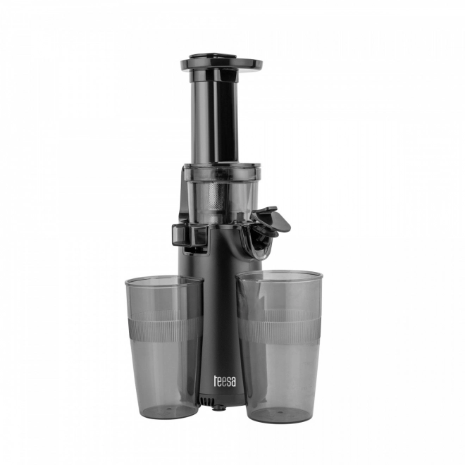 Slow Juicer Teesa TSA3233