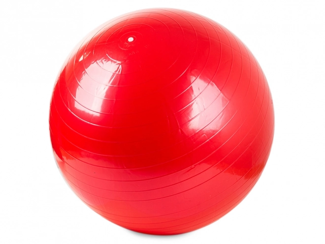 Gymnastikbold med pumpe til fitness og rehabilitering