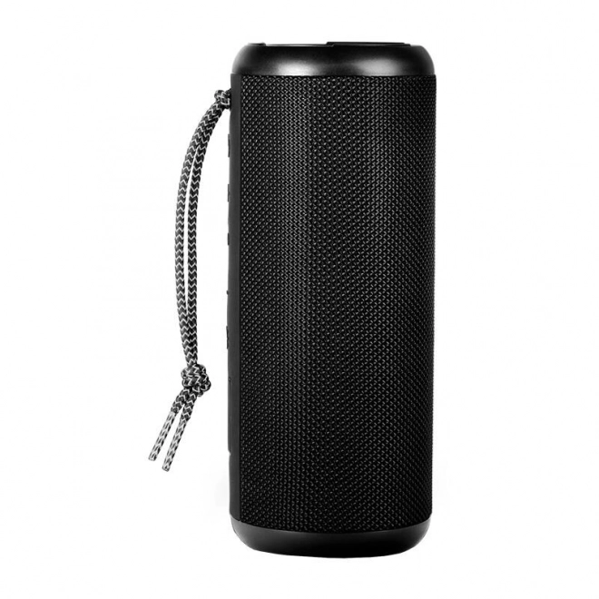 Bærbar trådløs højttaler Sven med Bluetooth