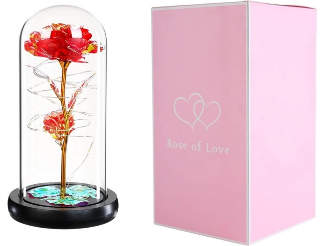 Evig rose i glasbelysning