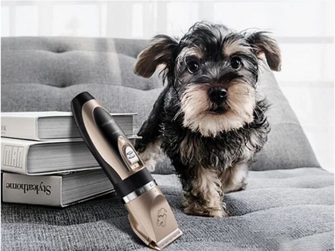 Sæt af sakse til klipning af hund