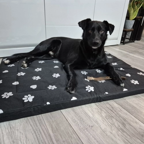 Vandtæt hundeseng XXL