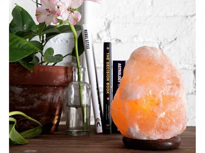 Stor himalayansk saltlampe ionisator