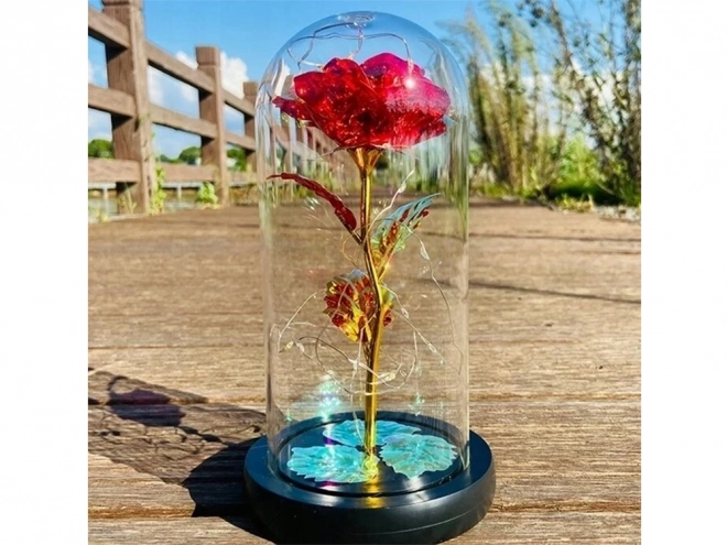 Evig rose i glasbelysning