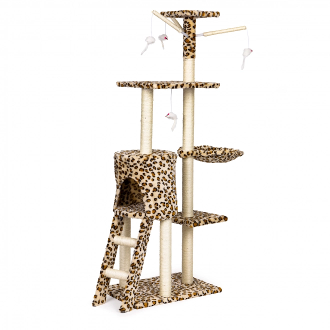 Kradsæt til katte, hus, træ, seng, 138 cm xl, Panther