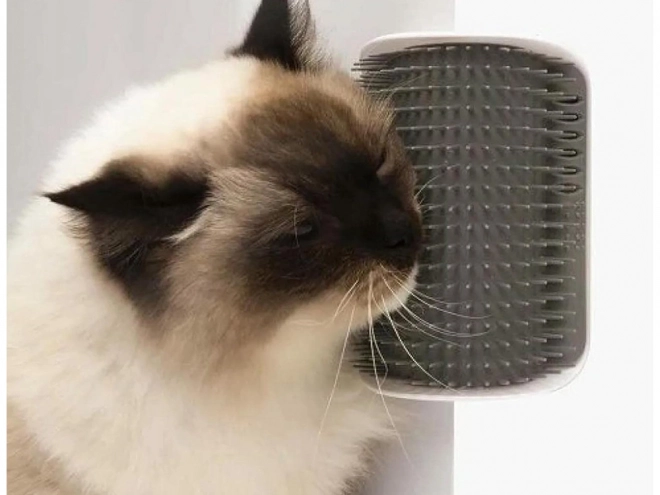 Hjørnebørste til katte med katteurt
