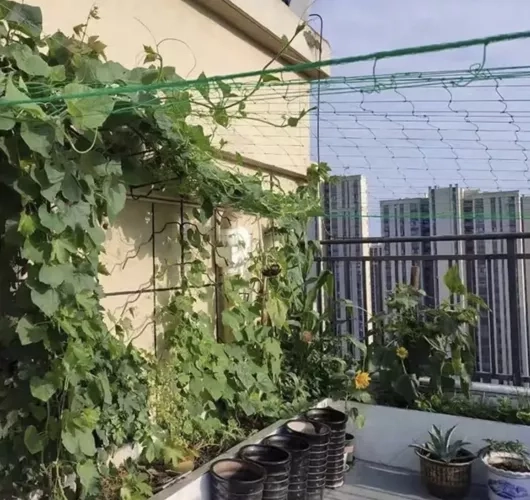 Gitter - støtte til planter 2x20m Gardlov 23980