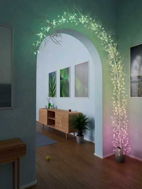 Kæder af smarte dekorative lys USB-C (Candies) 100 LED RGB, stearinlys, grøn ledning, 6 m