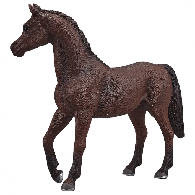 Mojo arabisk hingst