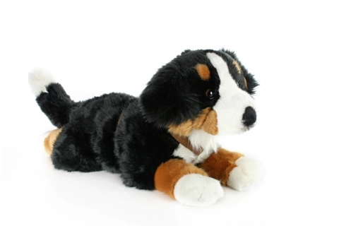 Plys Berner Sennenhund 65 cm