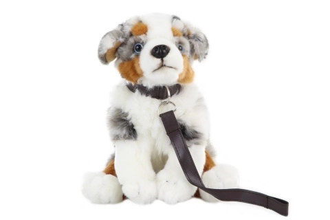 Plys Australsk Fårehund med Snor