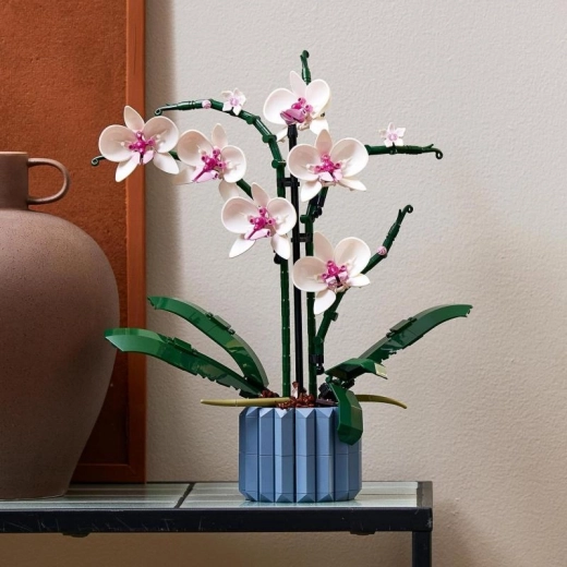 Elementer til Voksne Blomsterelskere