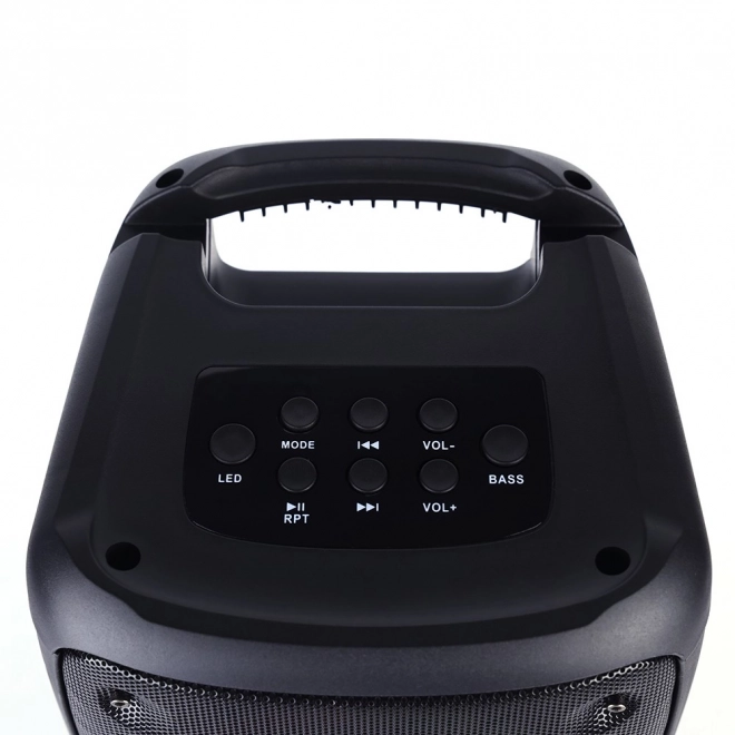 FUNBOX BT Højttaler MT3181 Bluetooth 5.0/TWS/MP3/MicroSD/USB/AUX/Equalizer/Jack 6.3/RGB/USB-C/ RMS 40W/PMPO 1000W