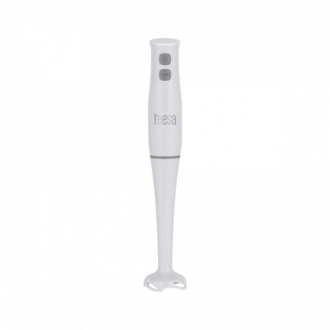 Teesa 400W stavblender