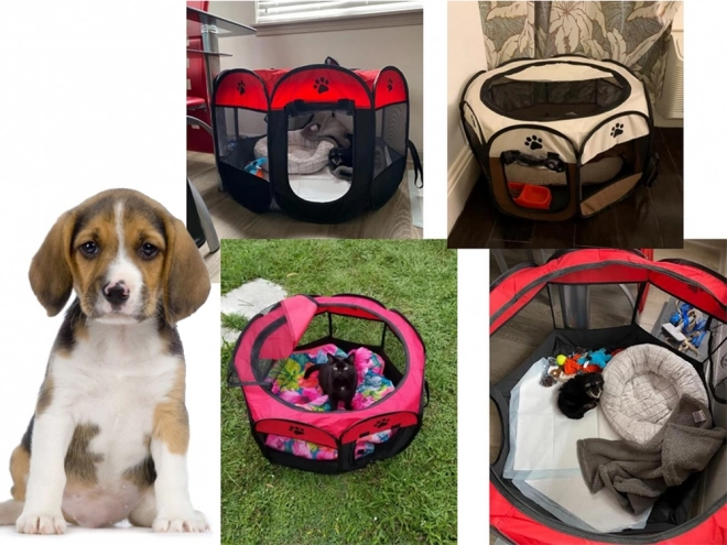 Sammenklappelig hvalpegård til hunde og katte
