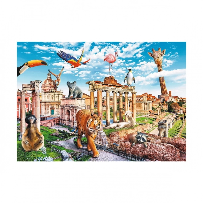 Puzzle Legrační byer - Vilde Rom 1000 brikker