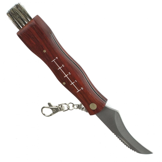 Lommekniv til svampe med etui