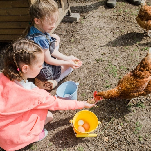 Alsidig hjælper hjemme og ude
