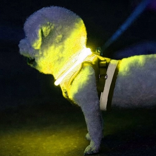 Lysende LED-halsbånd til hunde og katte