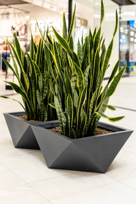 Design blomsterkrukke MONUMO VENDETTA højde 30 cm antracit