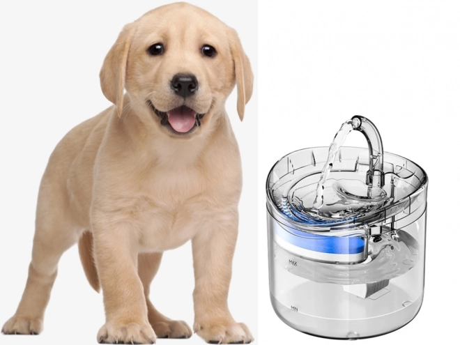 Automatisk drikkedispenser til katte og hunde