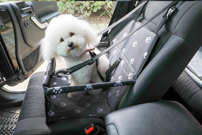 Transportabelt billede-bilsædeholder til hunde og katte