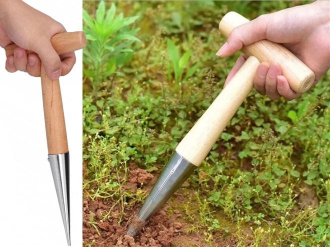 Have pigger til løgplanter