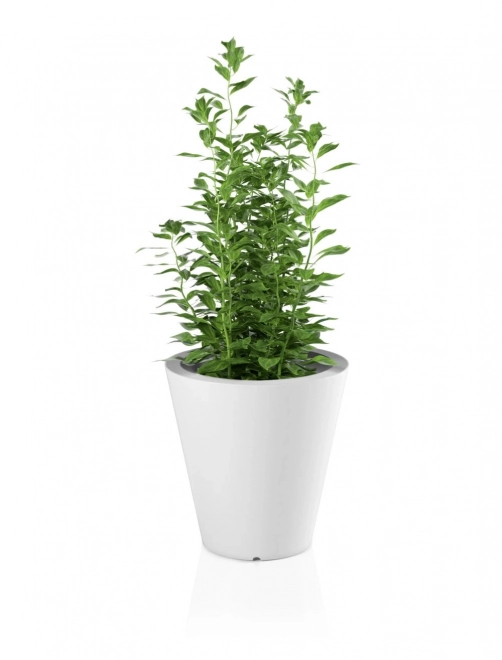 Monumo Ovo hvid plantekrukke