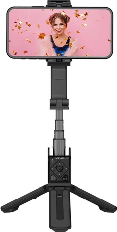 Stabilisator Hohem iSteady Q