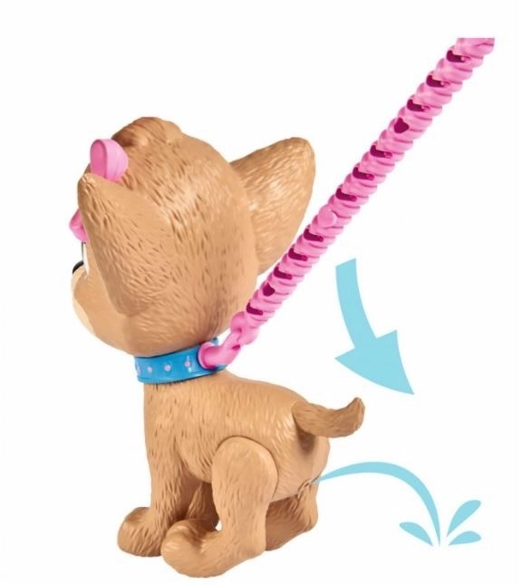 CCL Hund Chihuahua Pii Pii