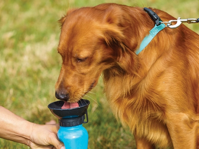 Rejse vandflaske til hunde