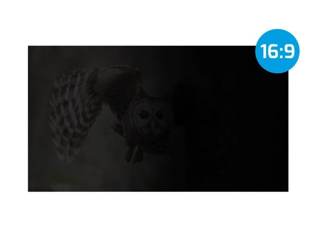 Natec Owl datasikringsfilter 16 tommer 16:10